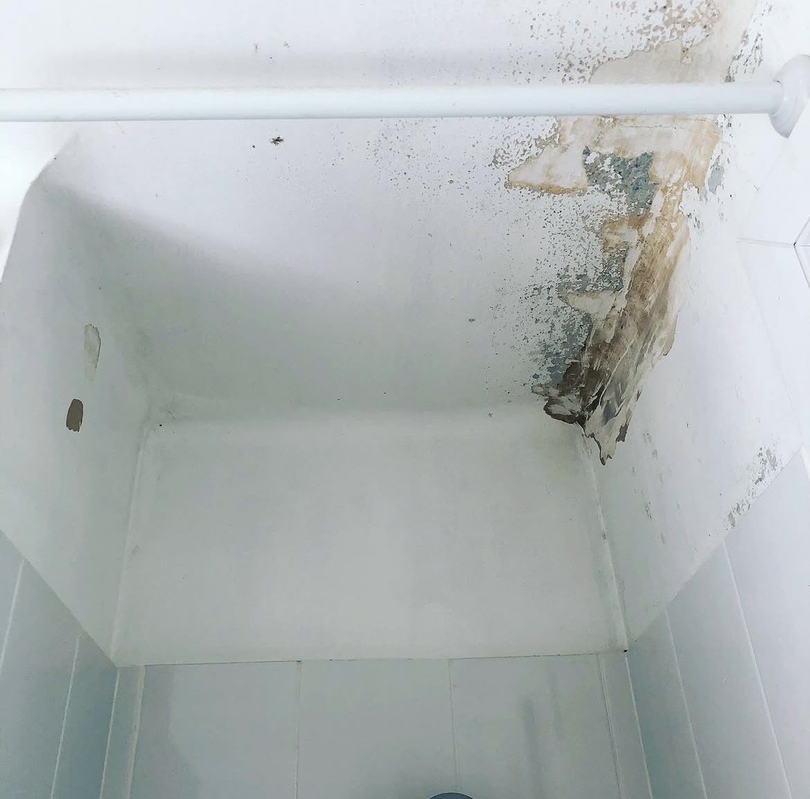 Salle de bain avant traitement